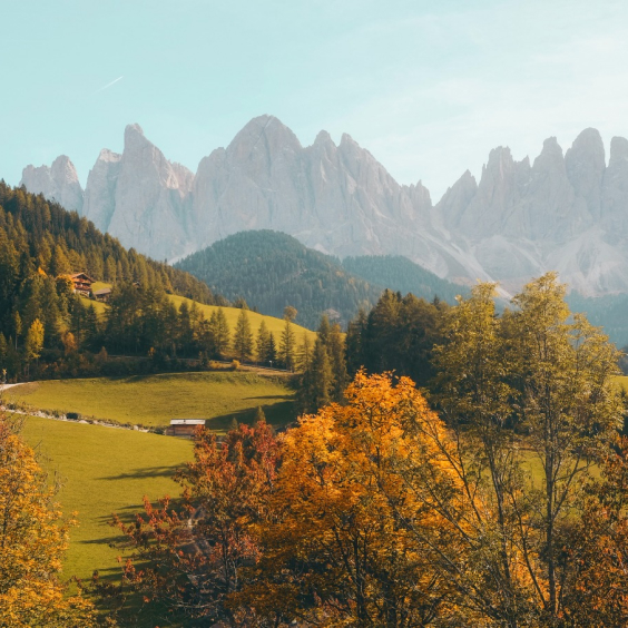 SALES & SERVICES About 06